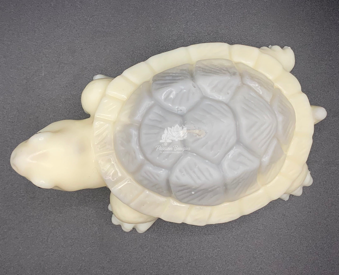 Tortue