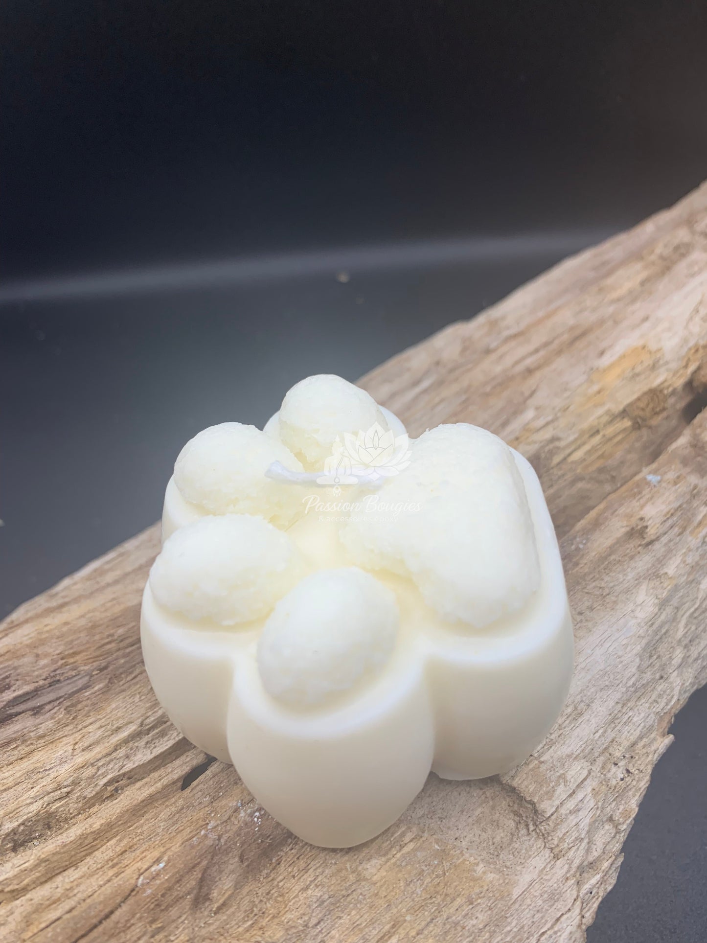 Patte d’animal