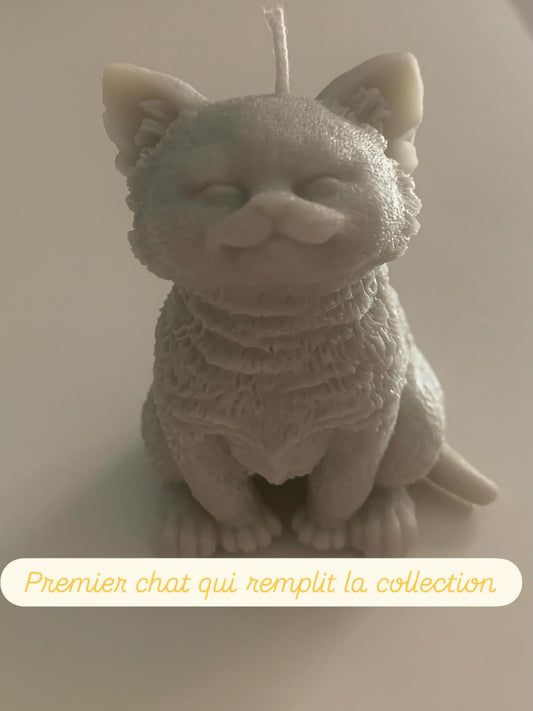 Chat assis yeux fermés