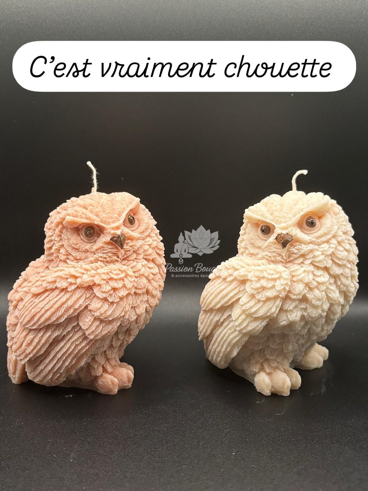 Chouette