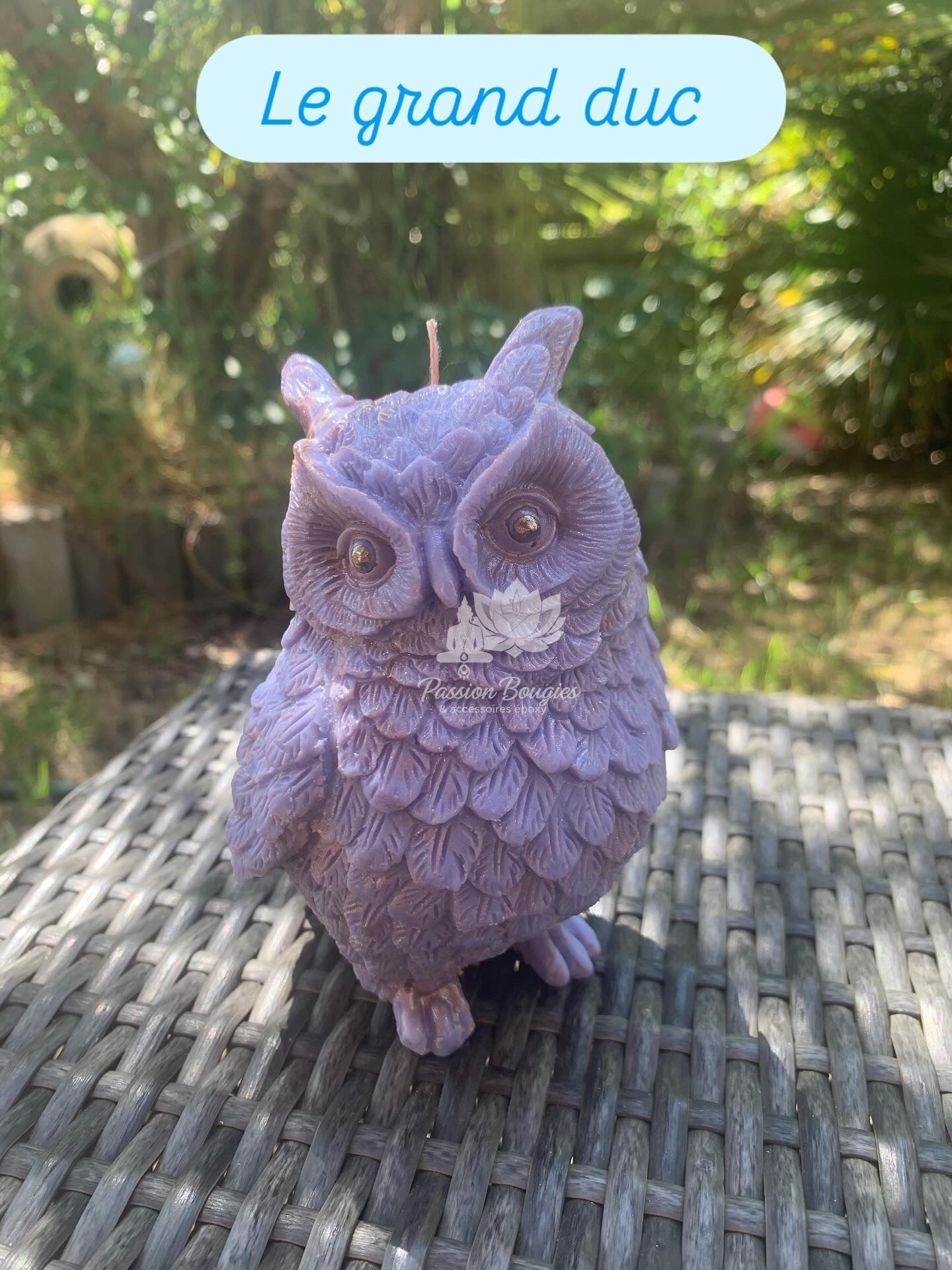 Chouette Le grand duc