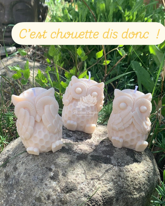 Chouette je ne vois pas, n’entend pas ou ne dit rien