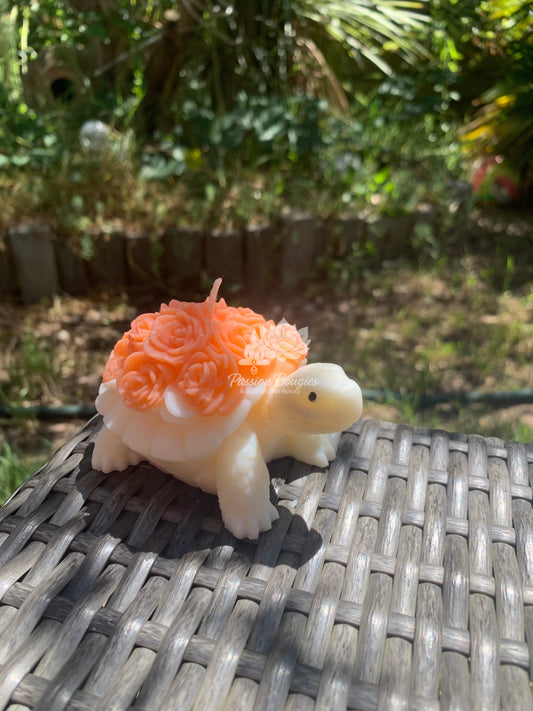 Tortue