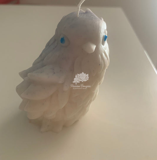 Oiseau fantastique