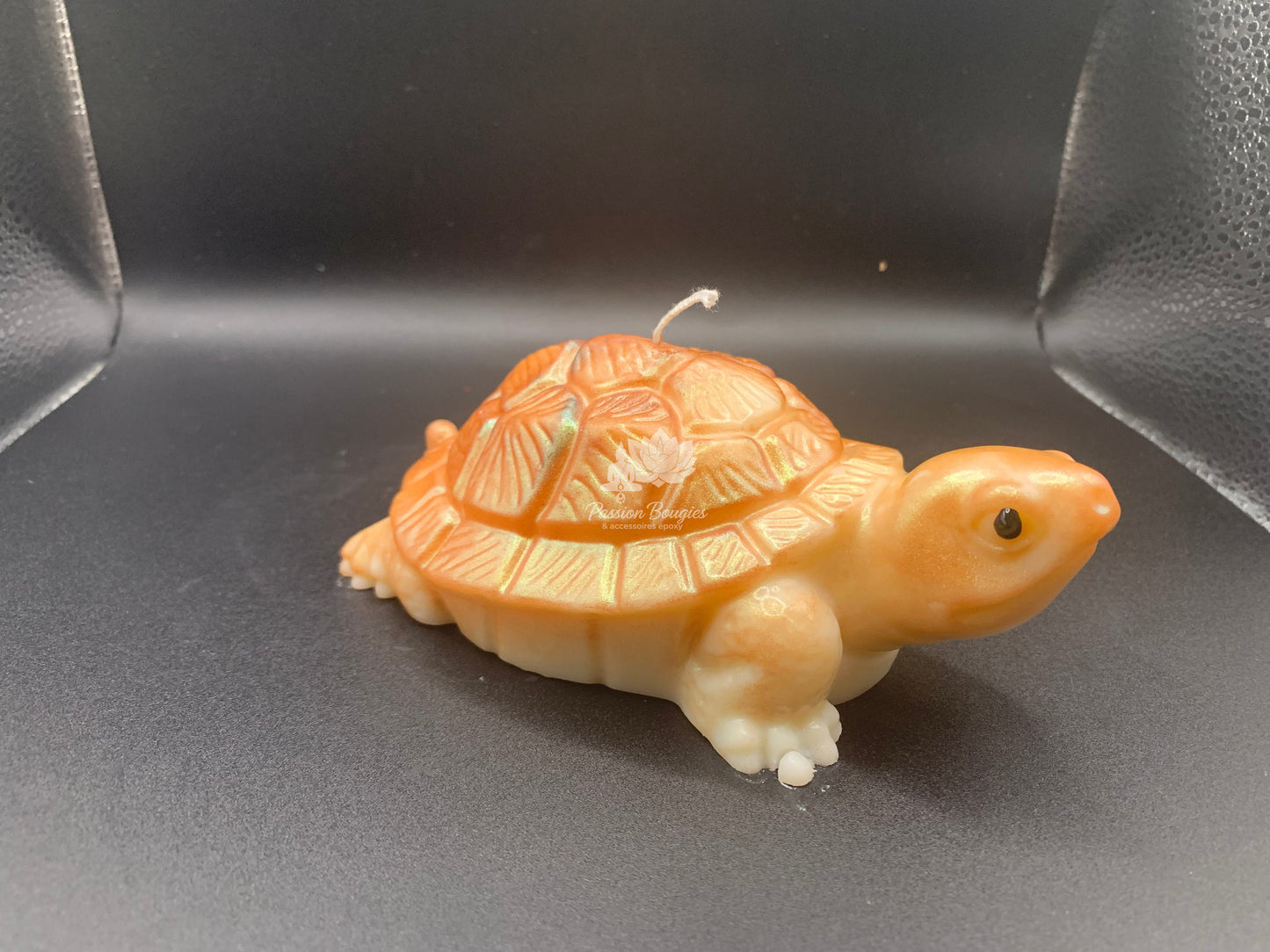 Tortue