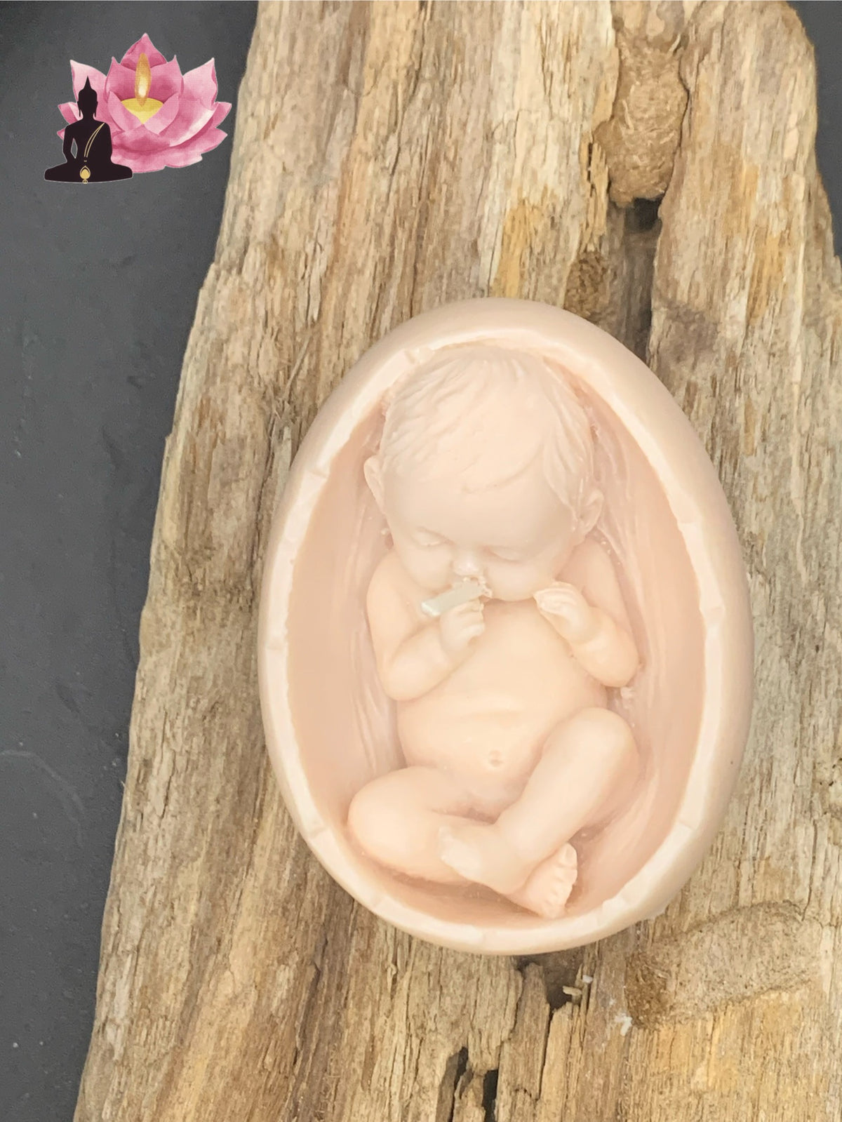 Bébé dans coquille