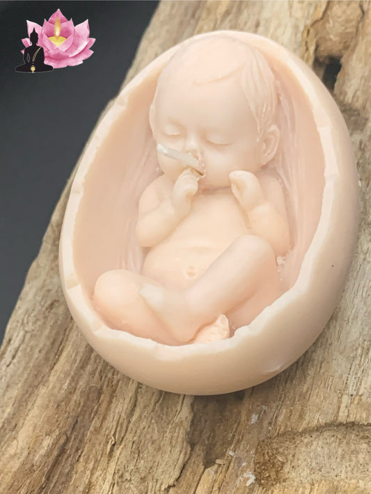 Bébé dans coquille