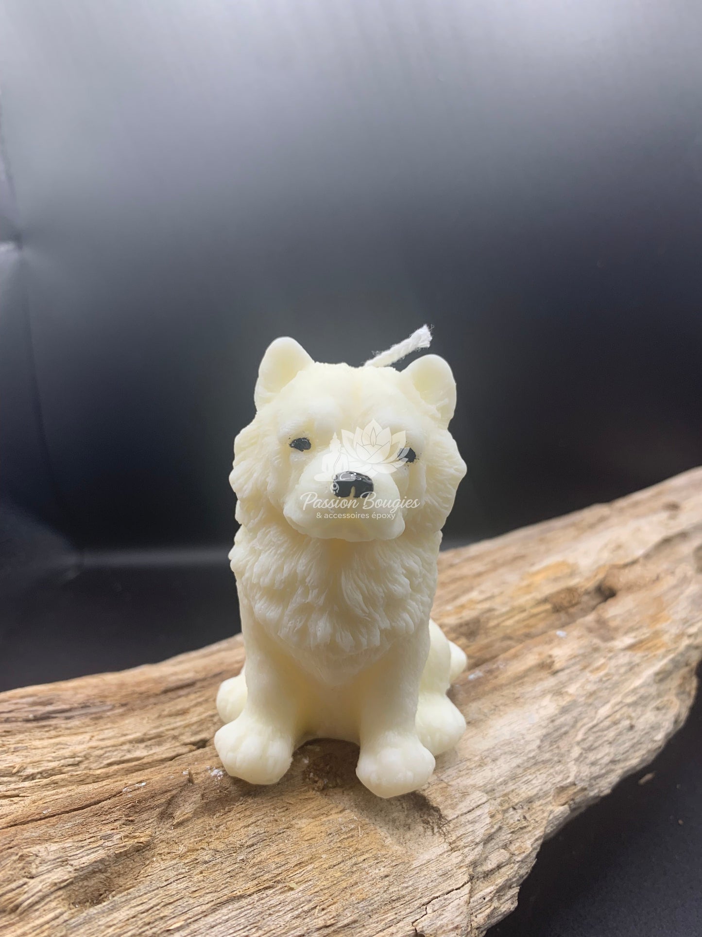 Chow-chow