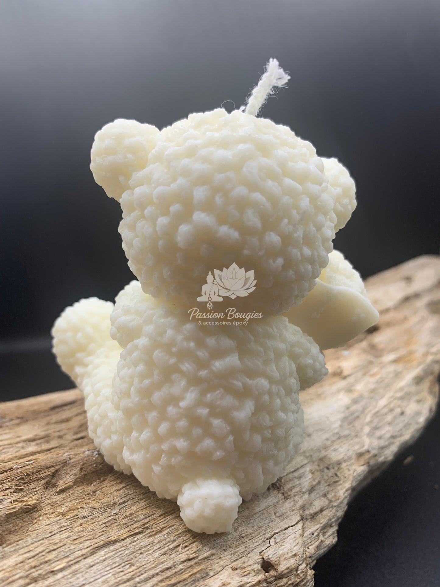 Nounours avec bouquet