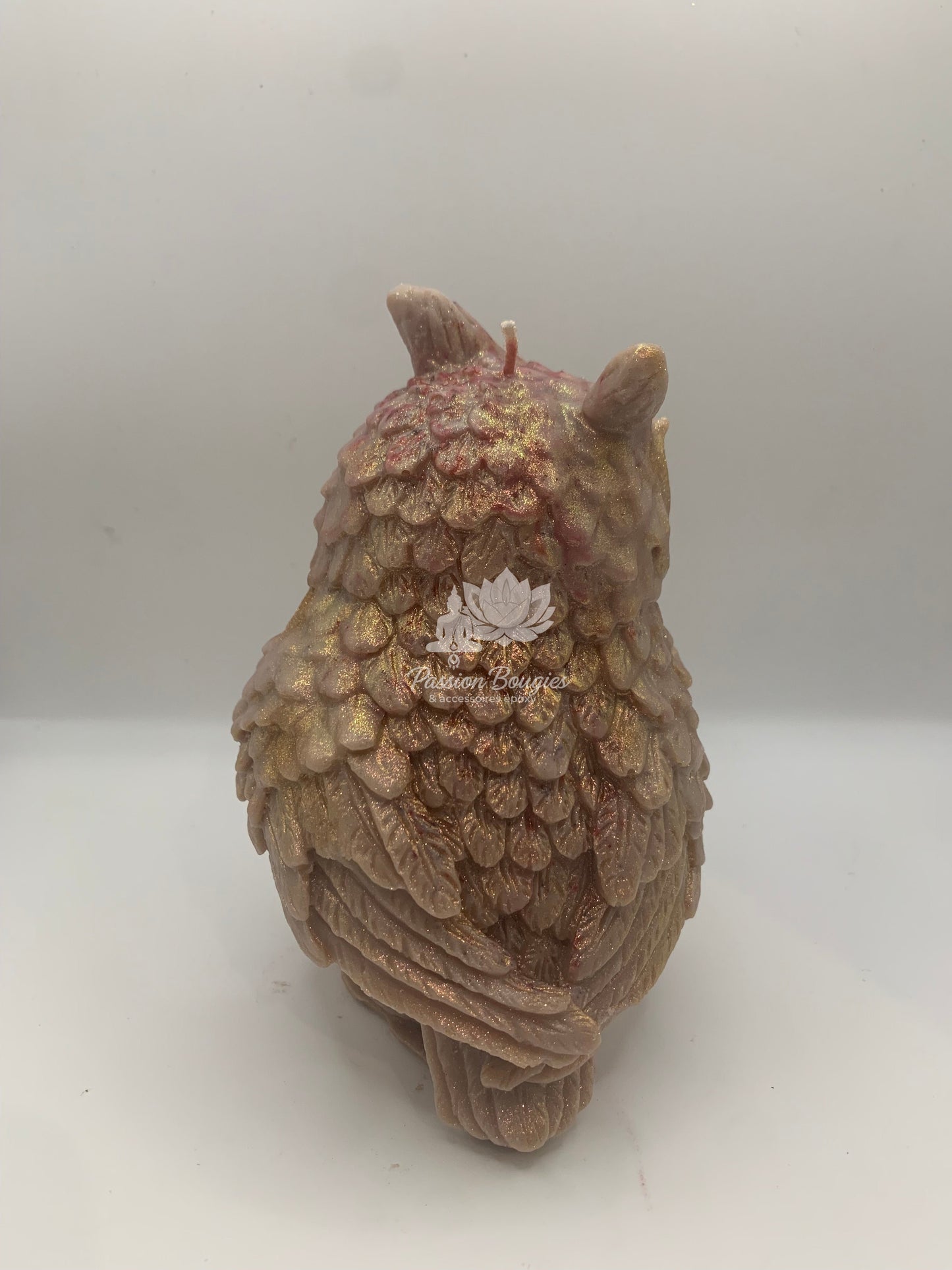 Chouette Le grand duc