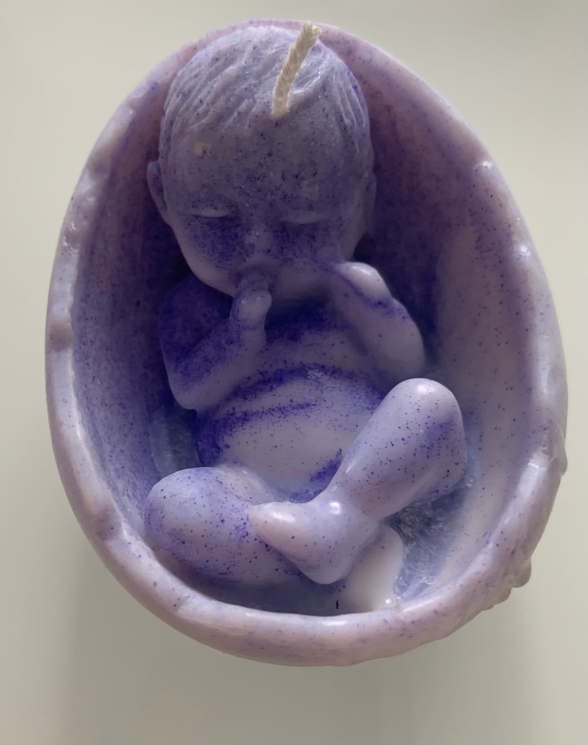 Bébé dans coquille