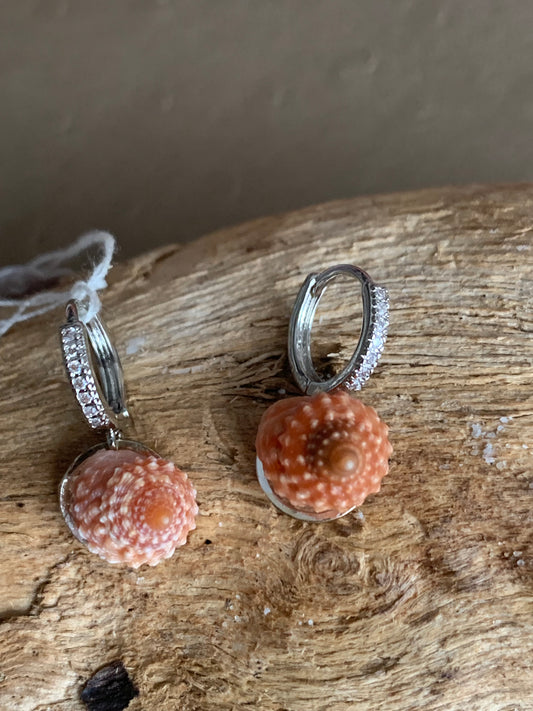 Boucles d’oreilles coquillage marron