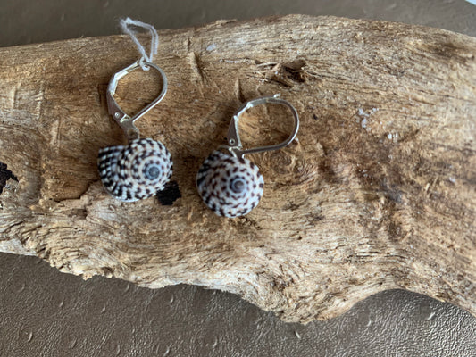 Boucles d’oreilles coquillages blancs