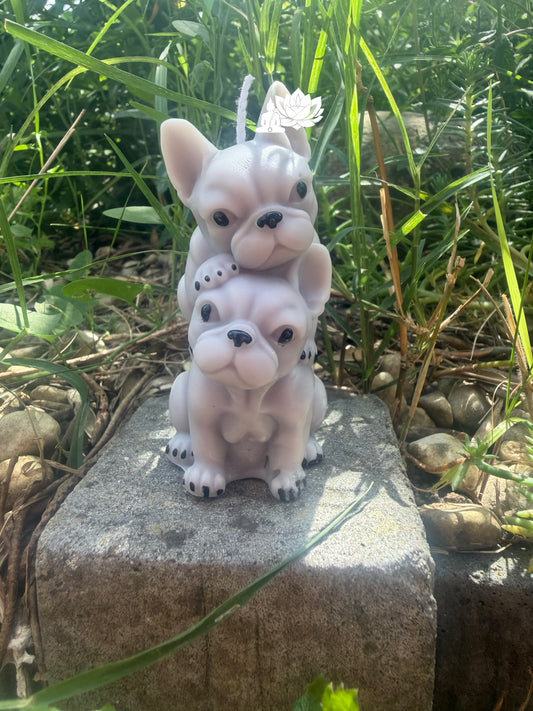 Bougie couple de bouledogues