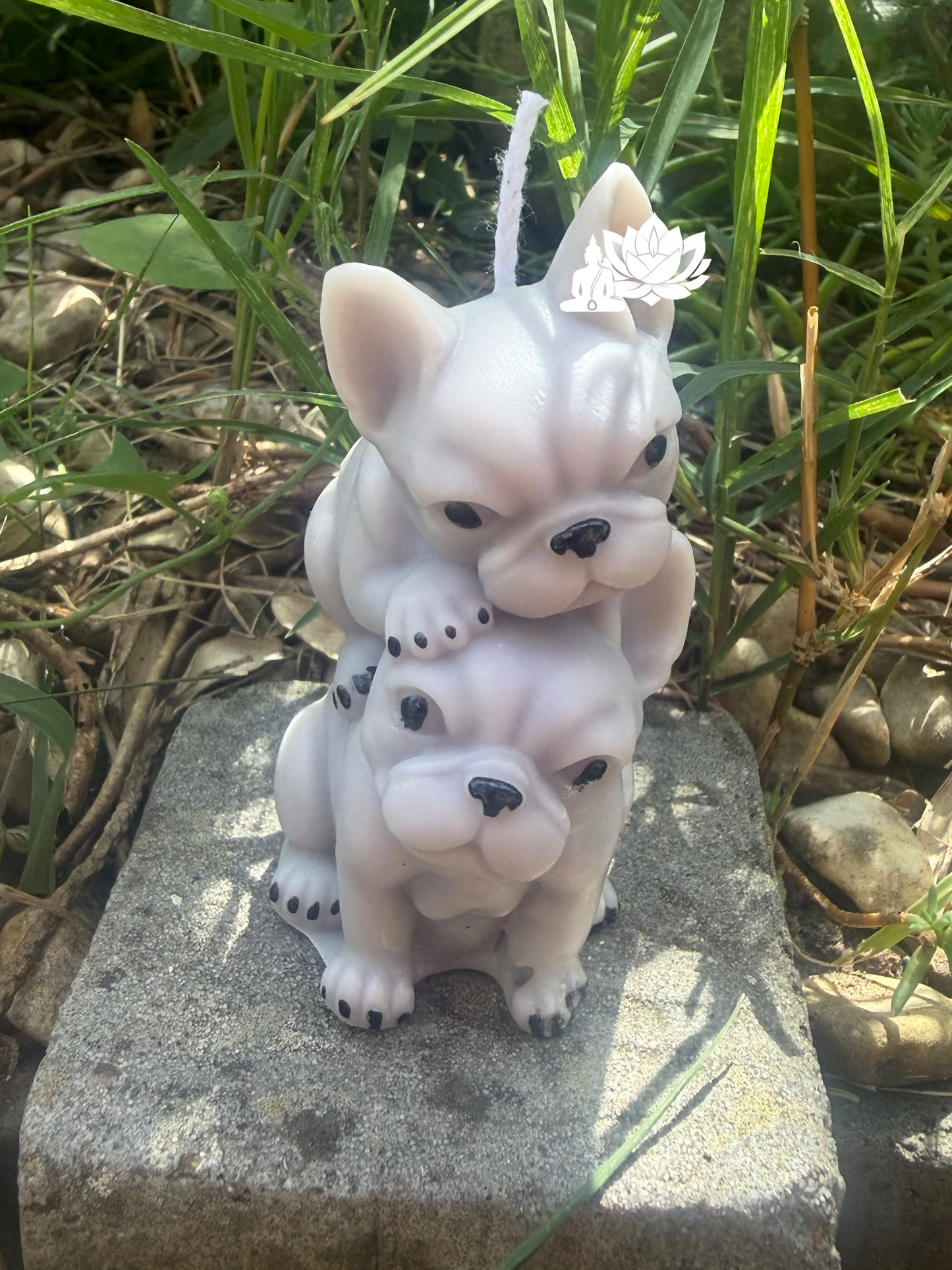 Bougie couple de bouledogues