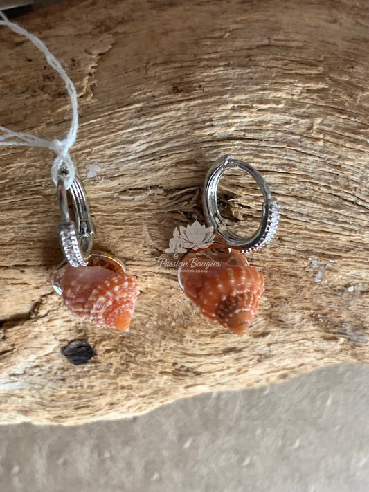 Boucles d’oreilles coquillage marron
