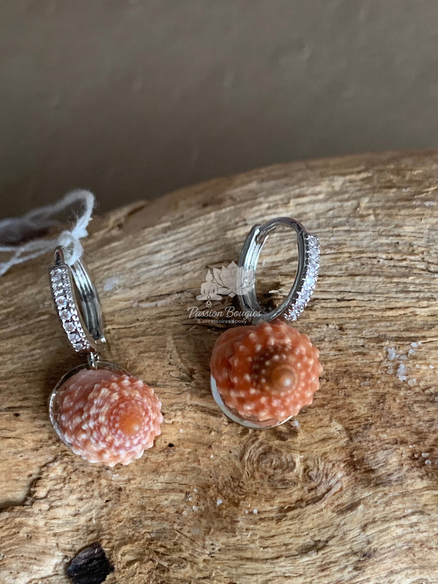 Boucles d’oreilles coquillage marron