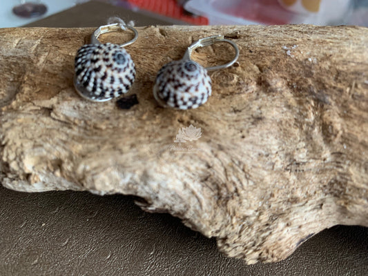 Boucles d’oreilles coquillages blancs