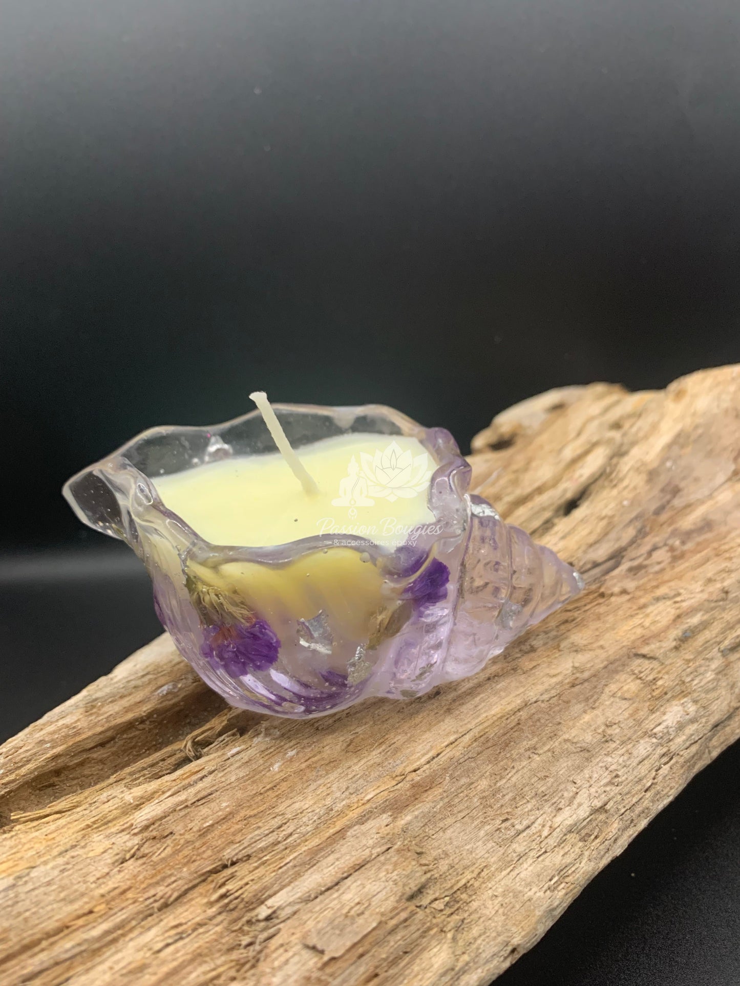 Bougie coquillage