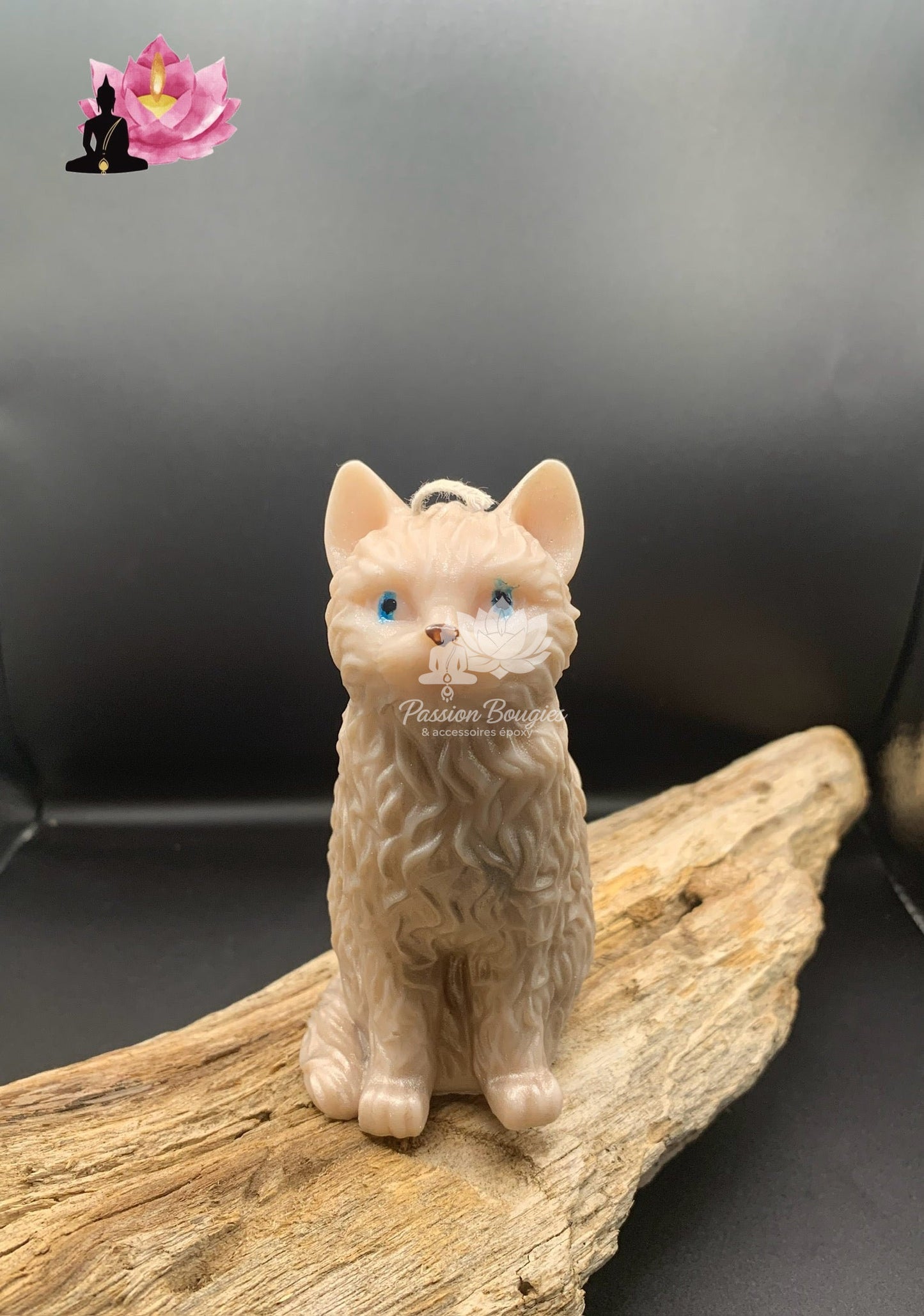 Chat assis pelage ondulé