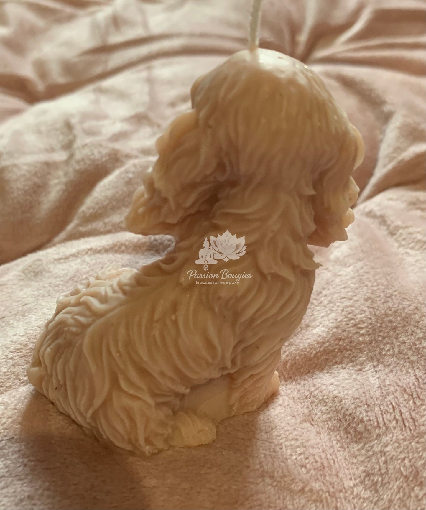 Chien cocker
