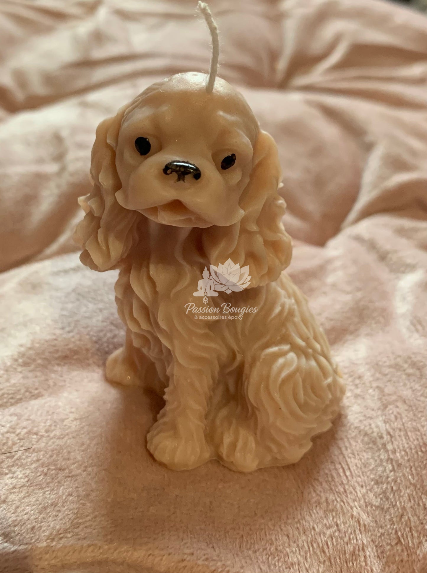 Chien cocker
