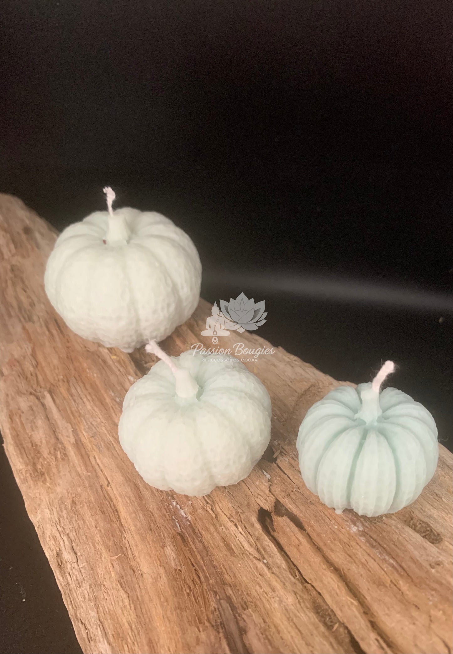 Coffret 3 Bougies citrouille 🌿