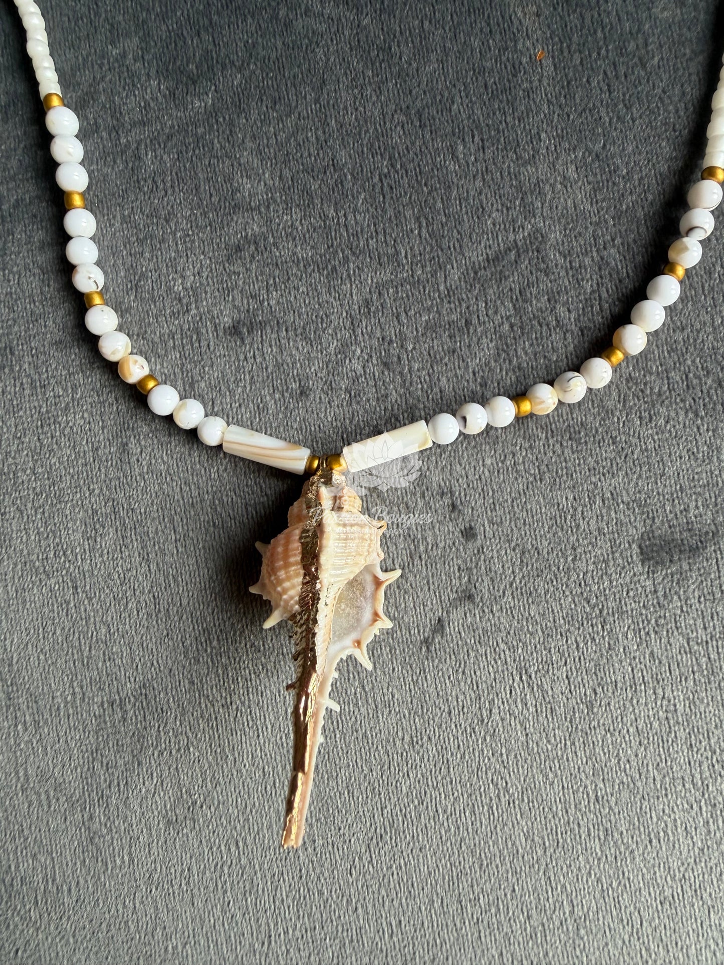 Collier coquillage prestige