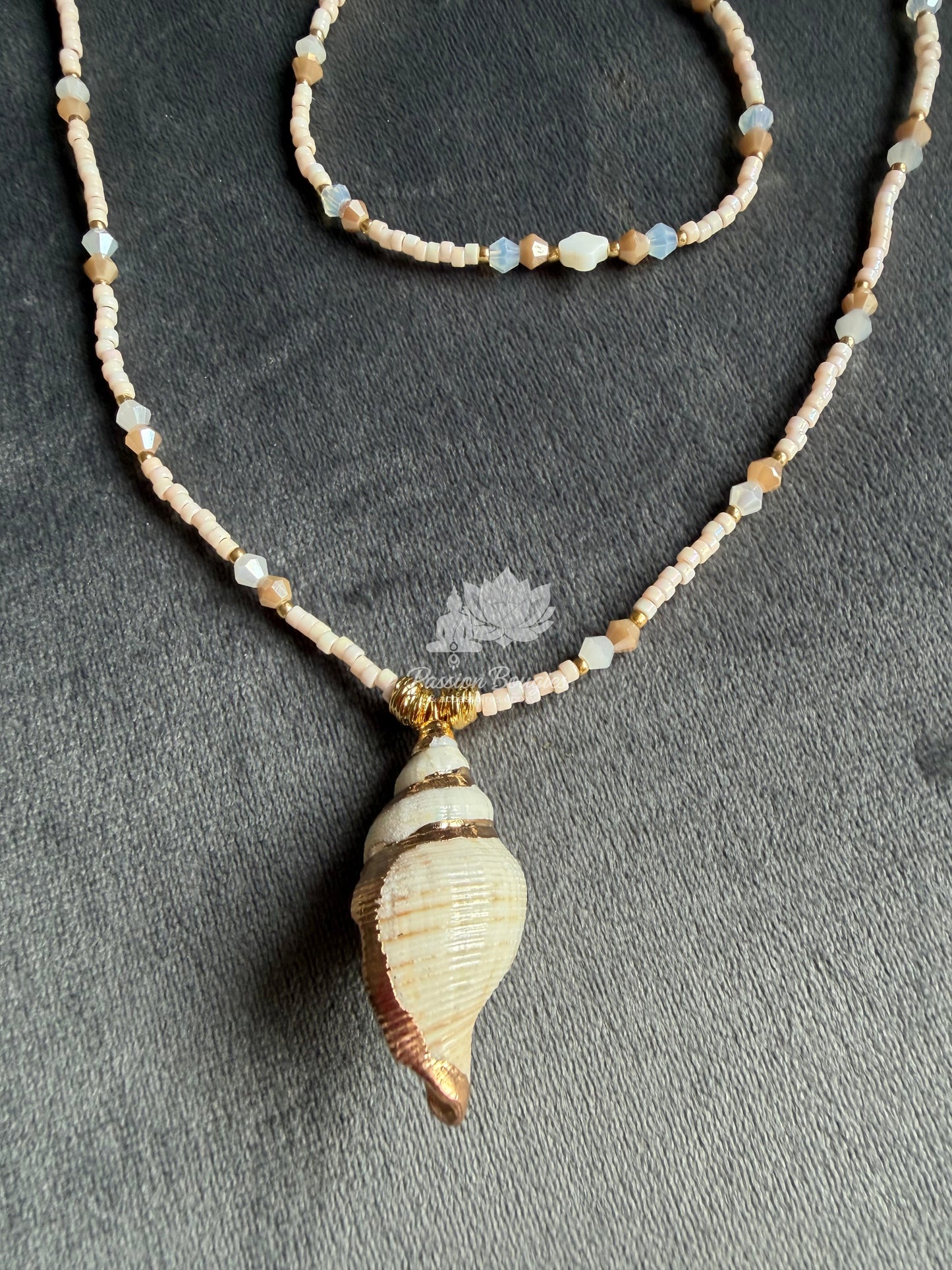 Collier coquillage prestige