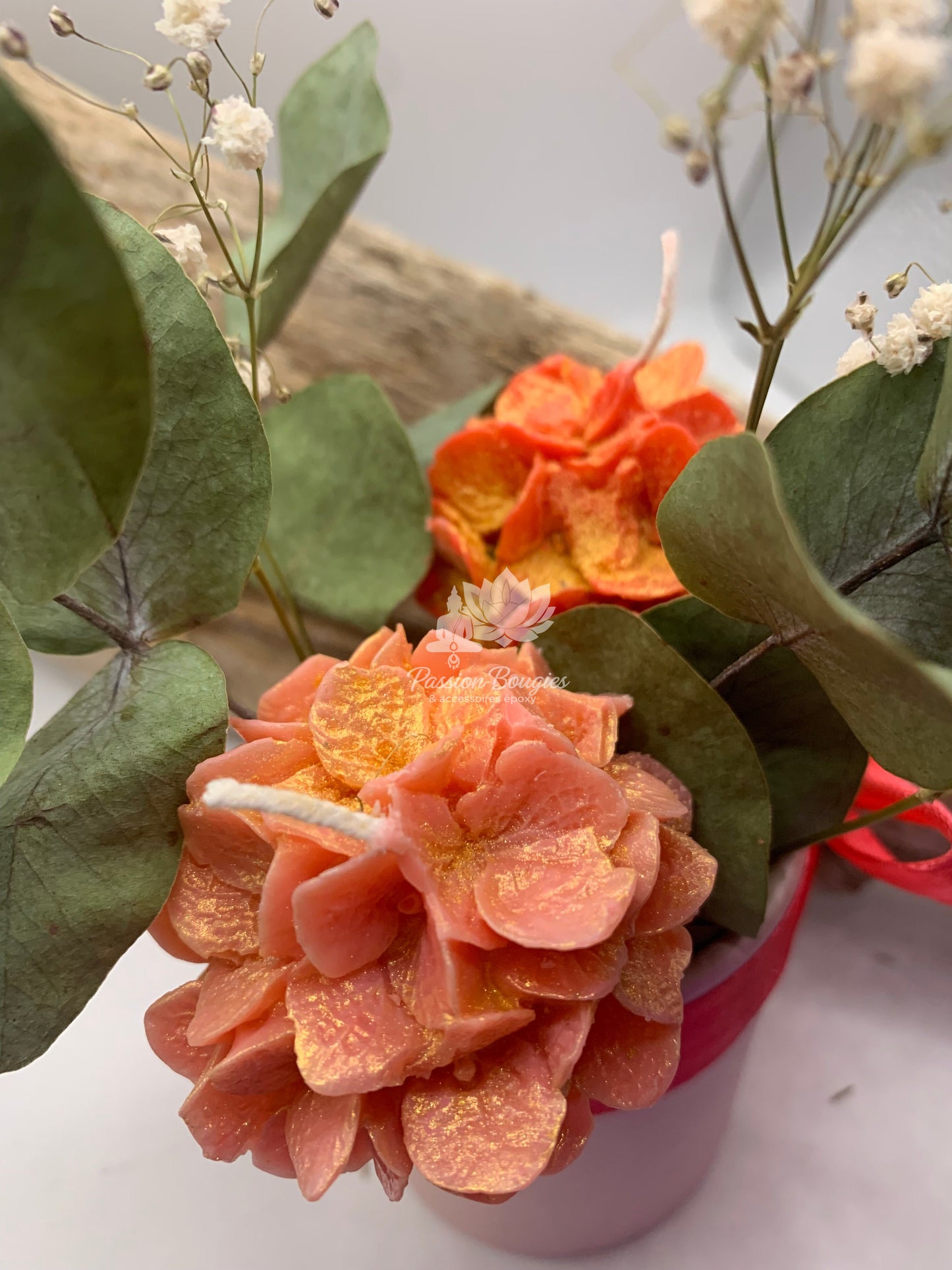 Composition florale hortensia