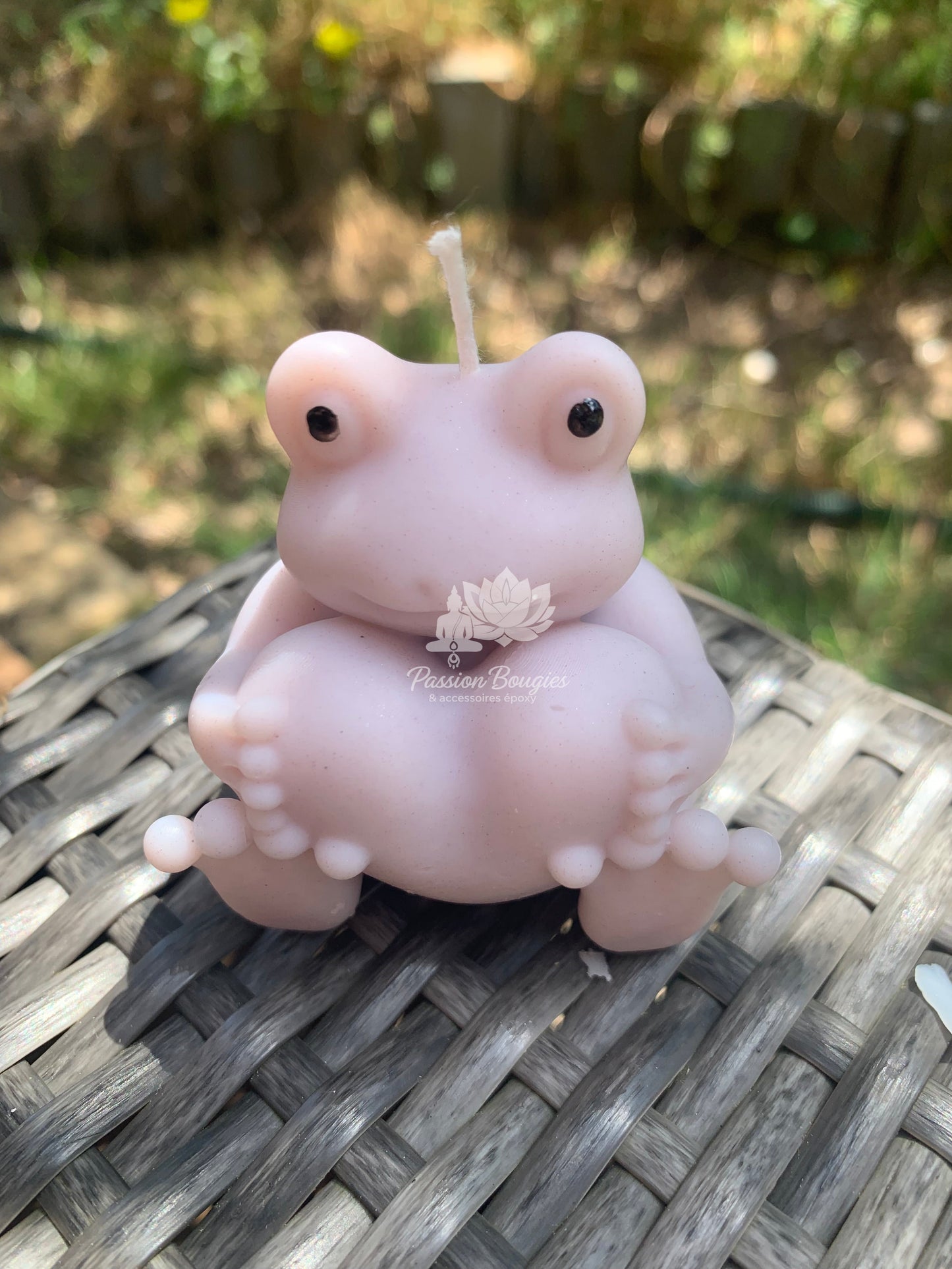 Grenouille assise coeur